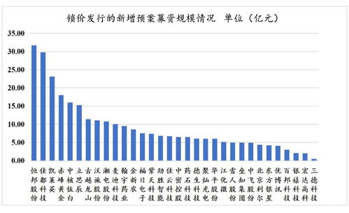 再融資新政下非公開發(fā)行戰(zhàn)略投資者深度研究 聚焦非融資性擔保機構(gòu)的角色與挑戰(zhàn)
